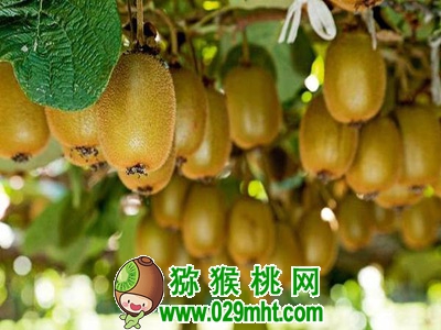 豪门国际官方网站图片