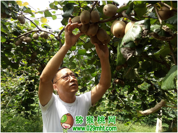 豪门国际官方网站图片