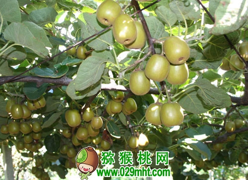豪门国际官方网站图片