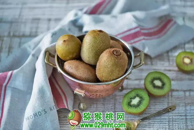 豪门国际官方网站图片