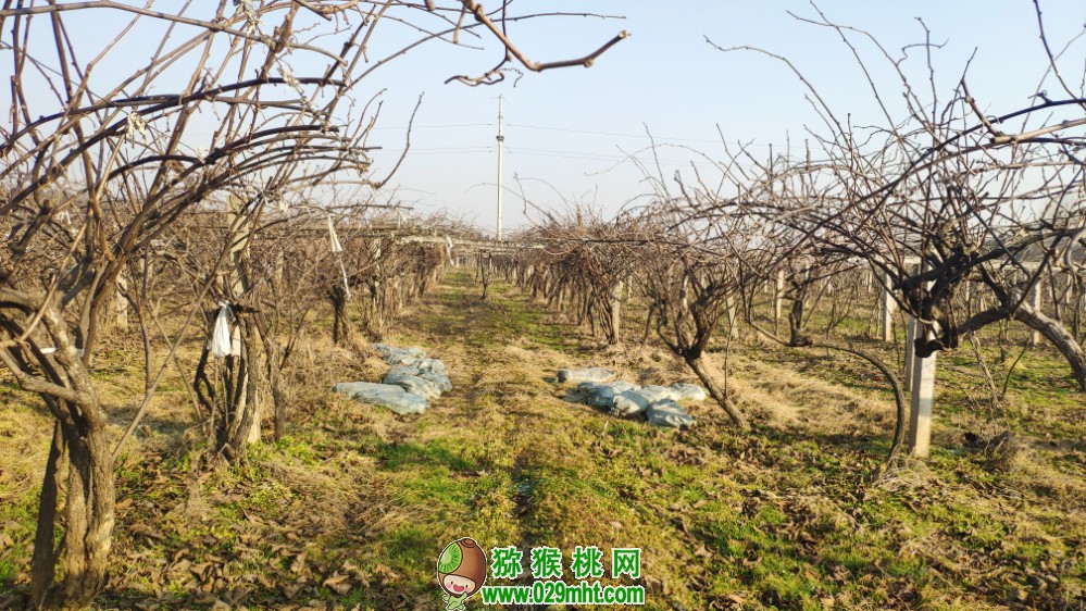 豪门国际 f81a9