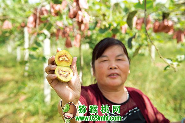 豪门国际 b36d6