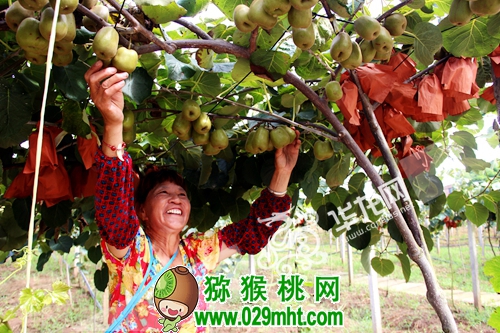 豪门国际 016e7