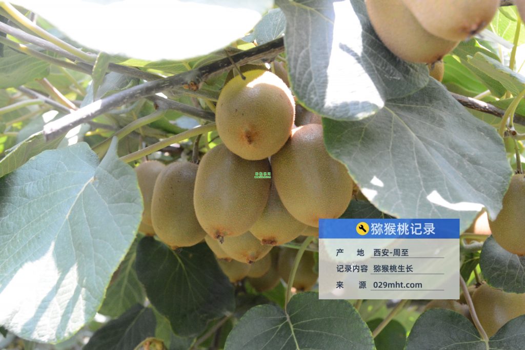 豪门国际官方网站图片