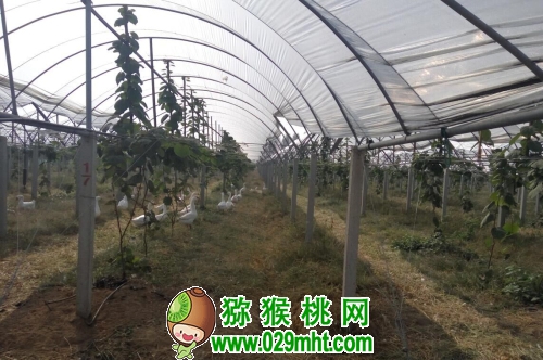 豪门国际官方网站图片
