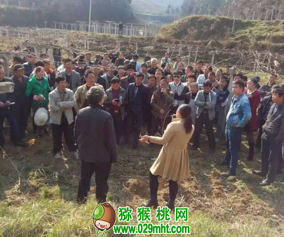 豪门国际官方网站图片