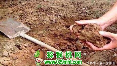 豪门国际官方网站图片