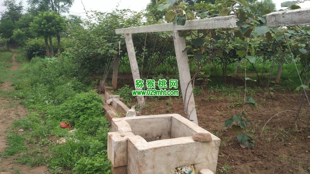 豪门国际 7b3b6