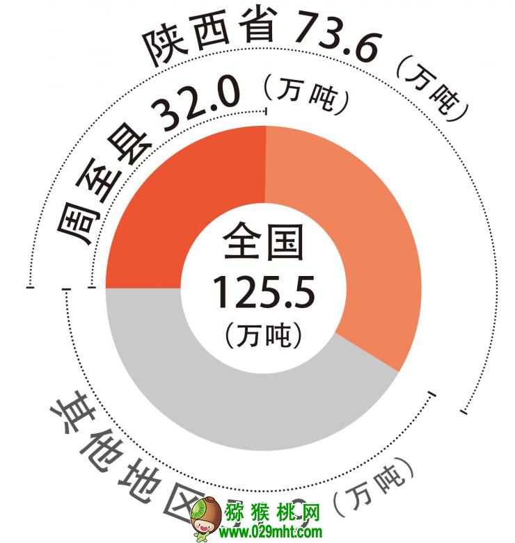 豪门国际官方网站图片