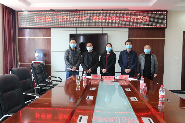 豪门国际官方网站图片
