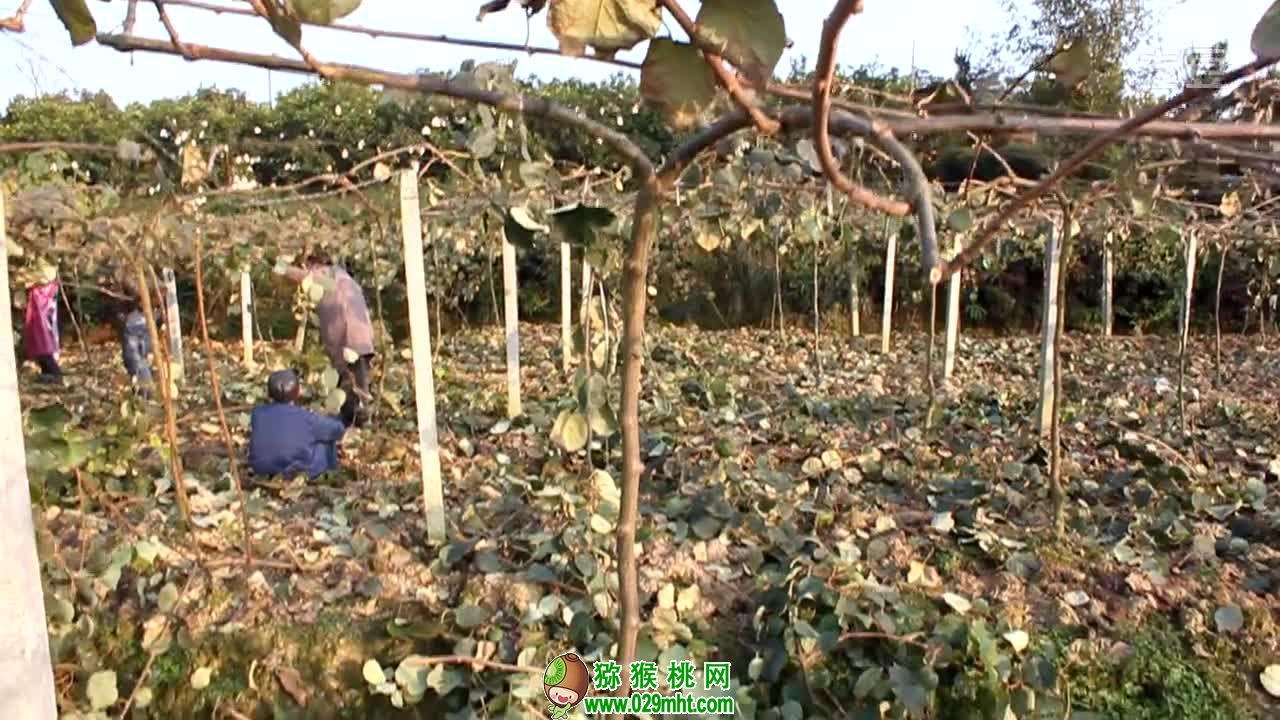 豪门国际官方网站图片