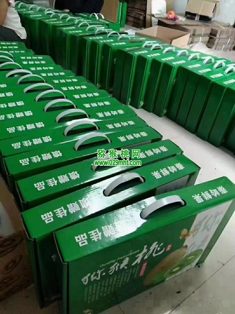 豪门国际 73364