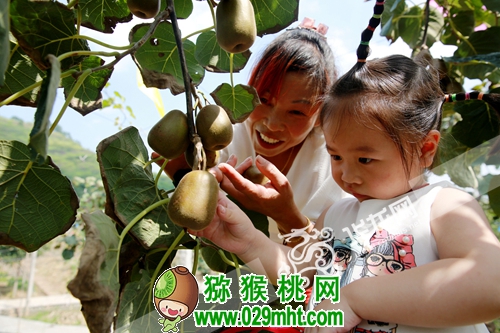 豪门国际官方网站图片