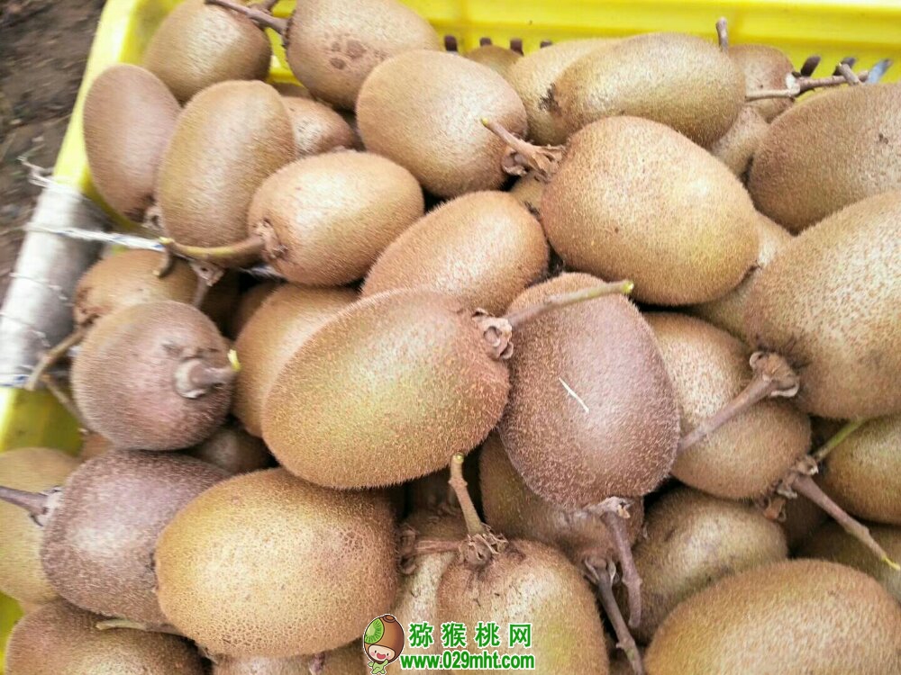 豪门国际 58ab9