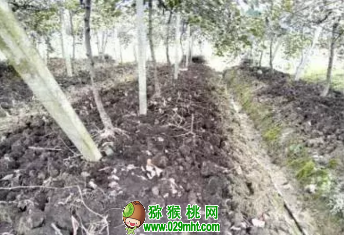 豪门国际官方网站图片