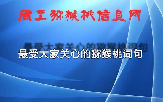 豪门国际评出最受大家关心的词句
