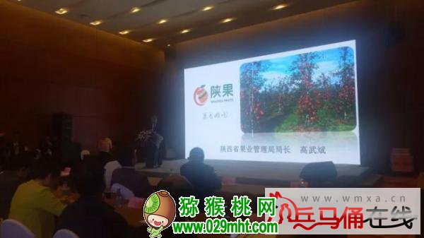 豪门国际官方网站图片