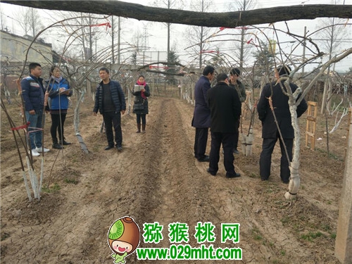 豪门国际官方网站图片