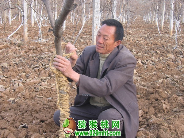 豪门国际官方网站图片