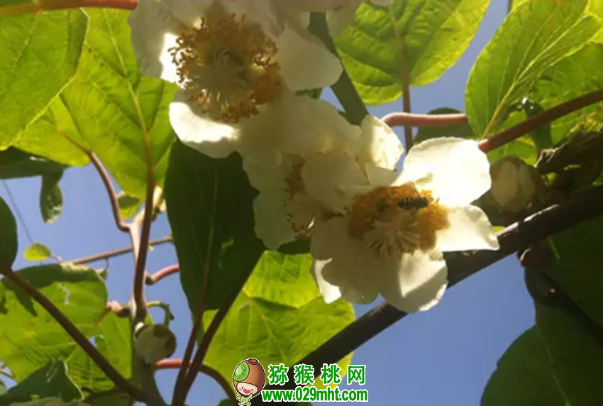 豪门国际官方网站图片