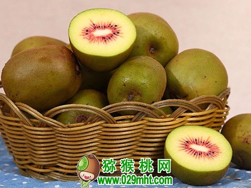 豪门国际官方网站图片