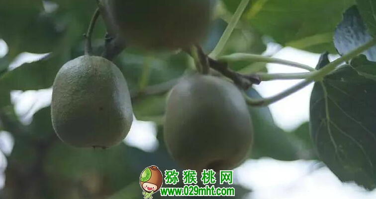 豪门国际官方网站图片