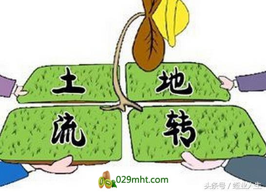 豪门国际官方网站图片