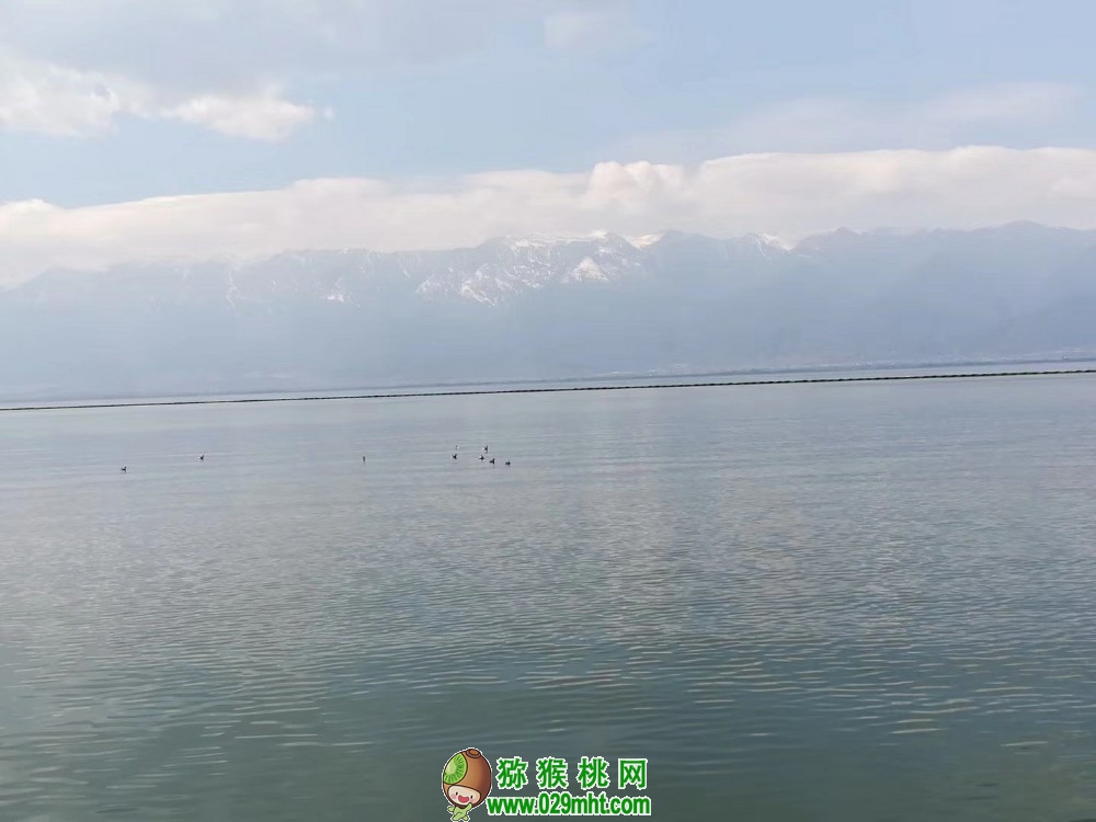 豪门国际 3baf9