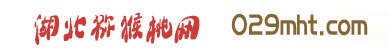 豪门国际官方网站图片