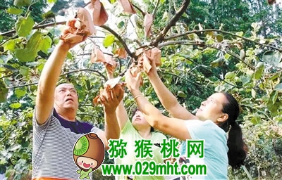 豪门国际 60e71