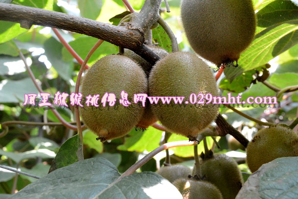 豪门国际官方网站图片