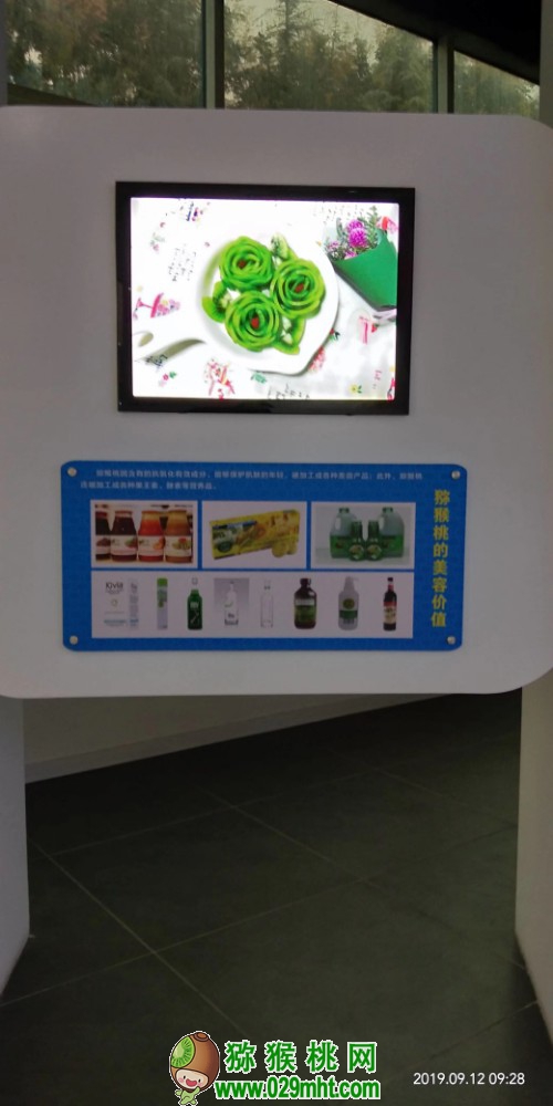 豪门国际 d91b8
