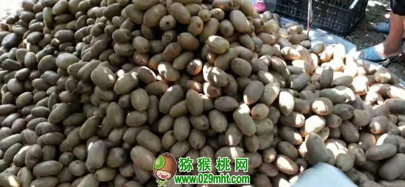 豪门国际 aa733