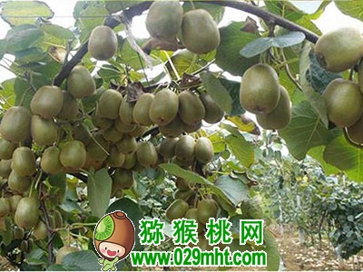 豪门国际官方网站图片