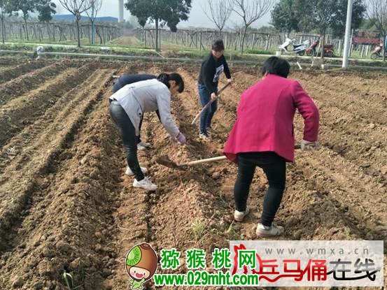 豪门国际官方网站图片
