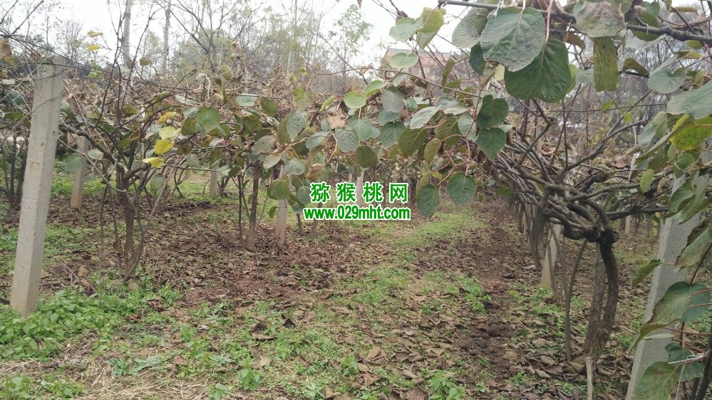 豪门国际官方网站图片