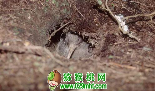 豪门国际官方网站图片