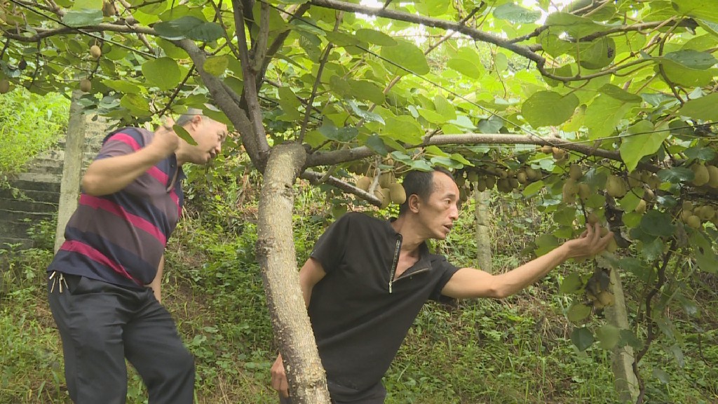 豪门国际官方网站图片