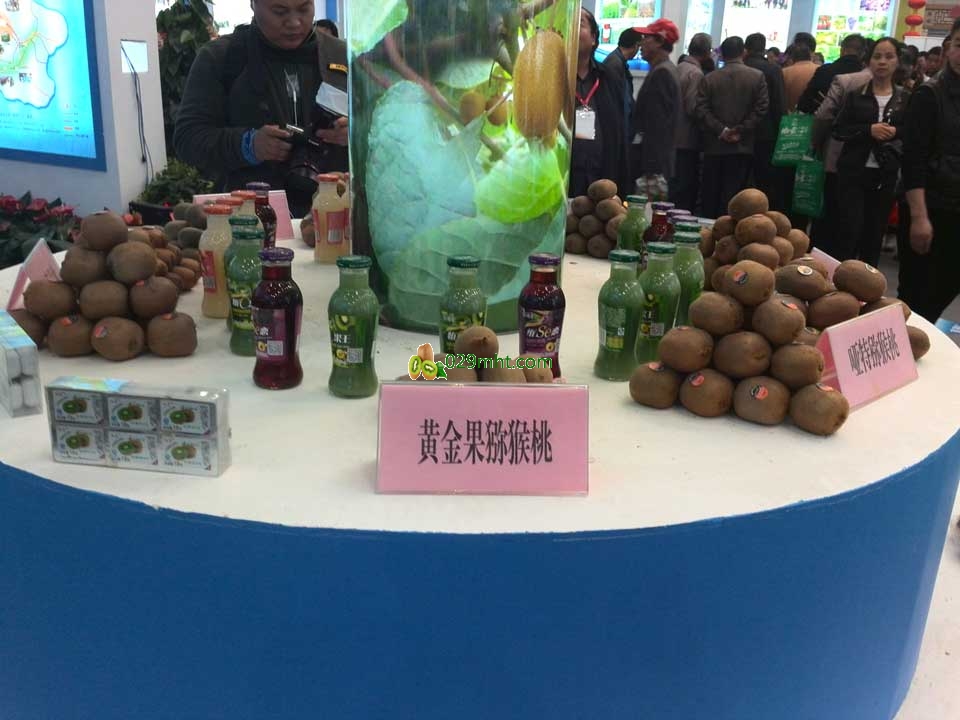 杨凌农业博览会<a href=http://www.linux-china.com/zhouzhimihoutao/ target=_blank class=infotextkey />周至豪门国际猕猴桃</a>信息网在现场画报