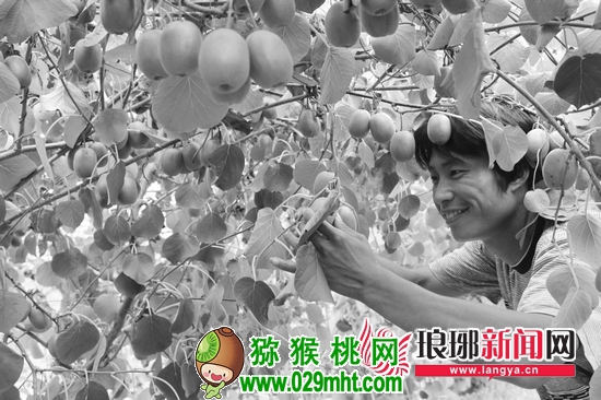 豪门国际官方网站图片