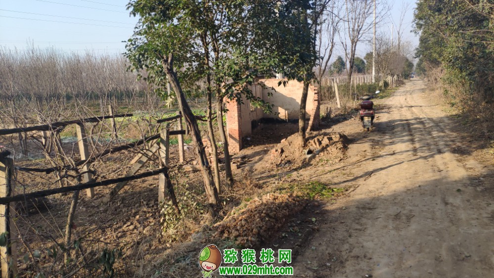 豪门国际 f5f4b