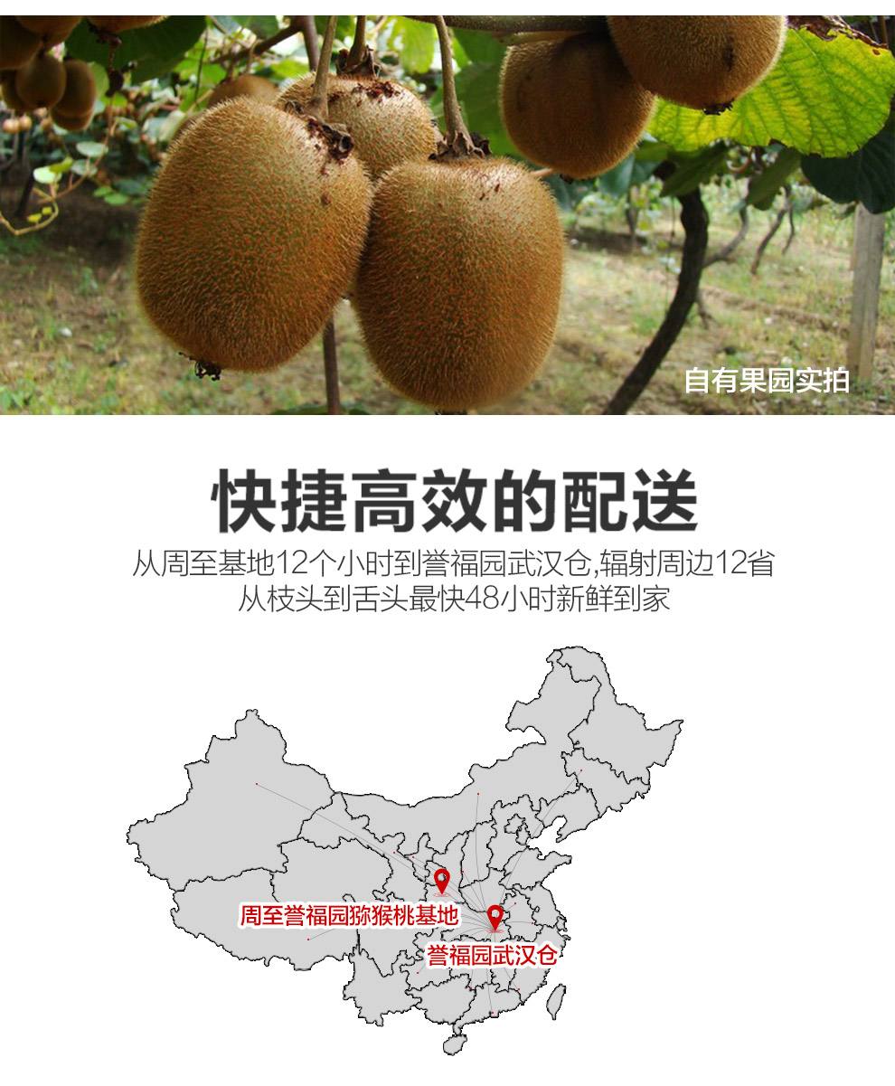 豪门国际 4633a