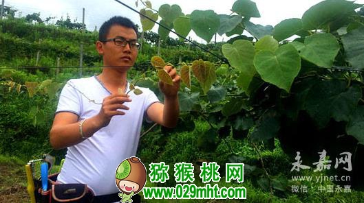 豪门国际官方网站图片