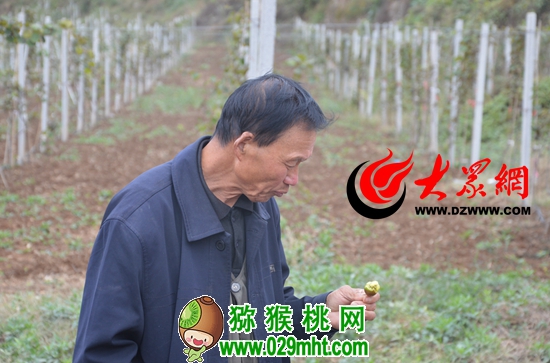 豪门国际官方网站图片