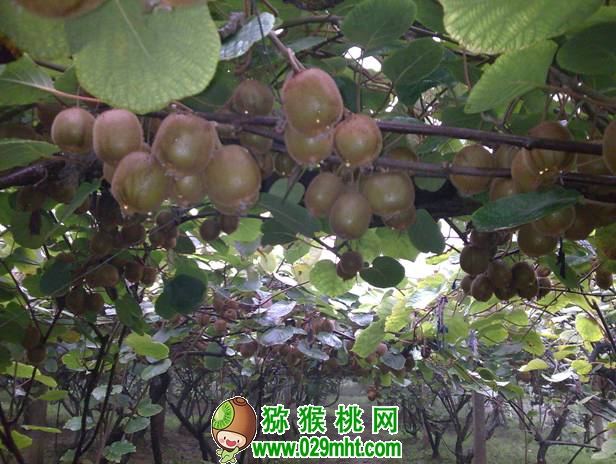 豪门国际官方网站图片