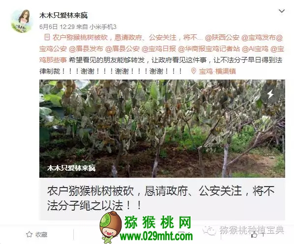 豪门国际官方网站图片