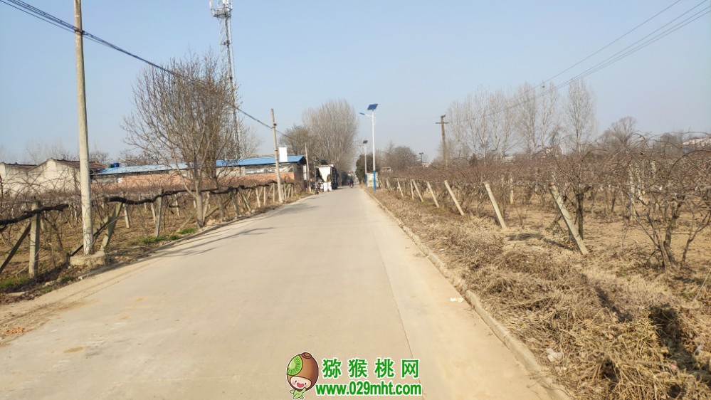 豪门国际官方网站图片