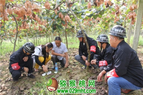 豪门国际官方网站图片
