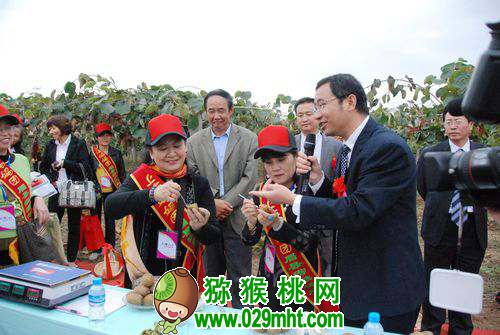 <a href=http://www.linux-china.com/shanximihoutao/ target=_blank class=infotextkey />陕西豪门国际猕猴桃</a>首席科学家刘占德