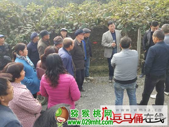 豪门国际官方网站图片